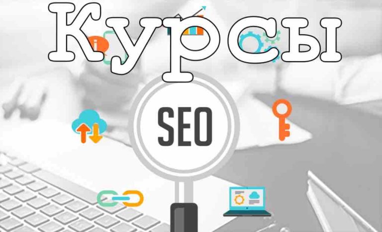 SEO курсы