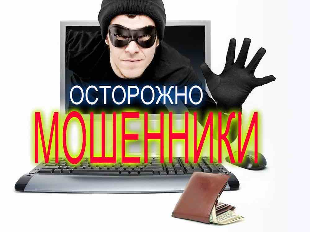 Новый развод в интернете на оплате домена