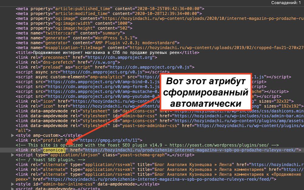 Каноническая страница rel=canonical как прописывать 2