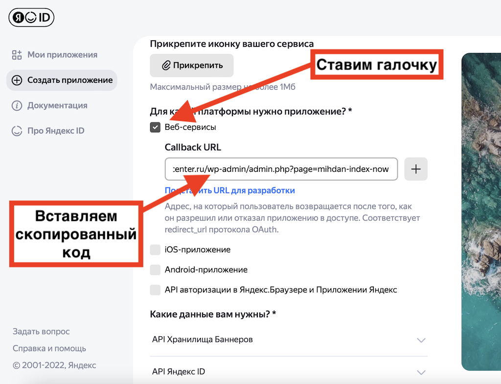 вставляем код 