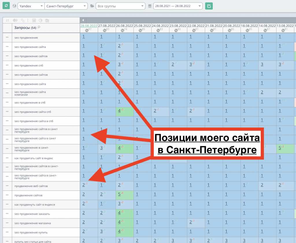 Позиции сайта у того кто разбирается в SEO продвижении