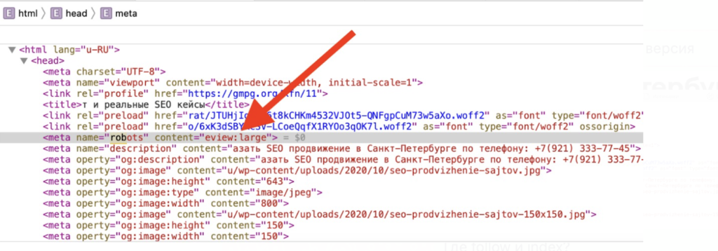 Yoast SEO не формирует постраничный robots в рубриках и description фото