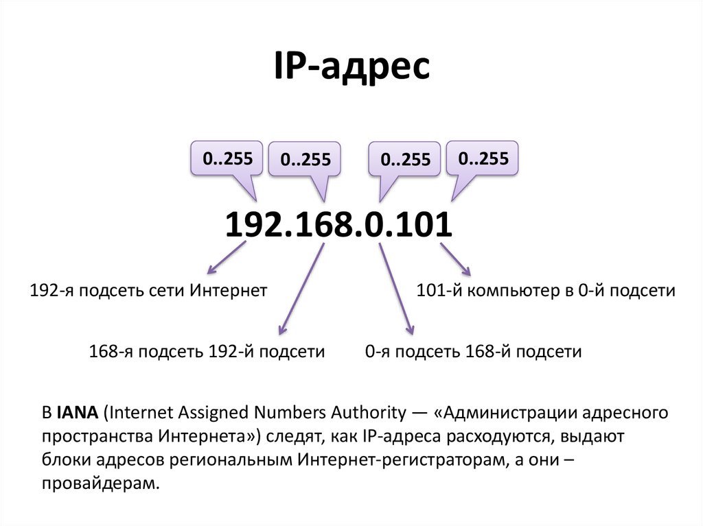 структура IP-адреса компьютера