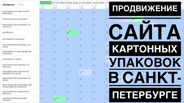 Видео-кейс: продвижение сайта производителя камер шоковой заморозки