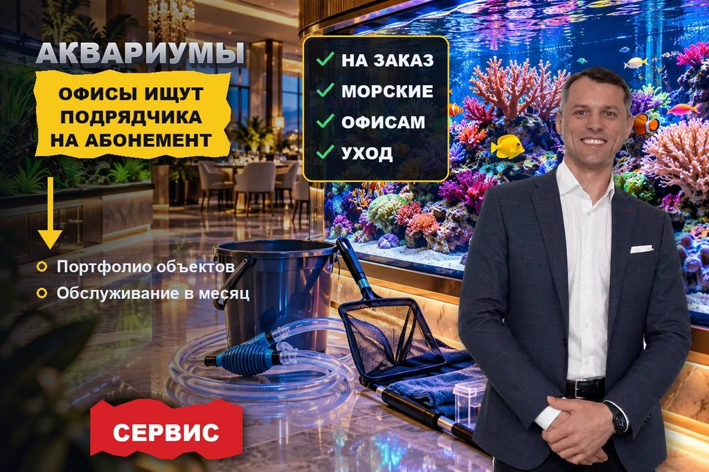 Продвижение сайта обслуживания аквариумов: офисы и рестораны ищут подрядчика на абонемент