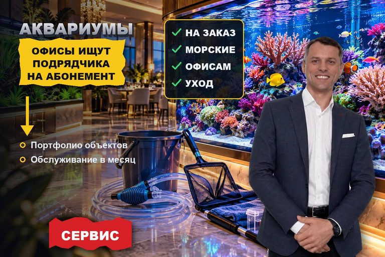 Продвижение сайта обслуживания аквариумов: офисы и рестораны ищут подрядчика на абонемент