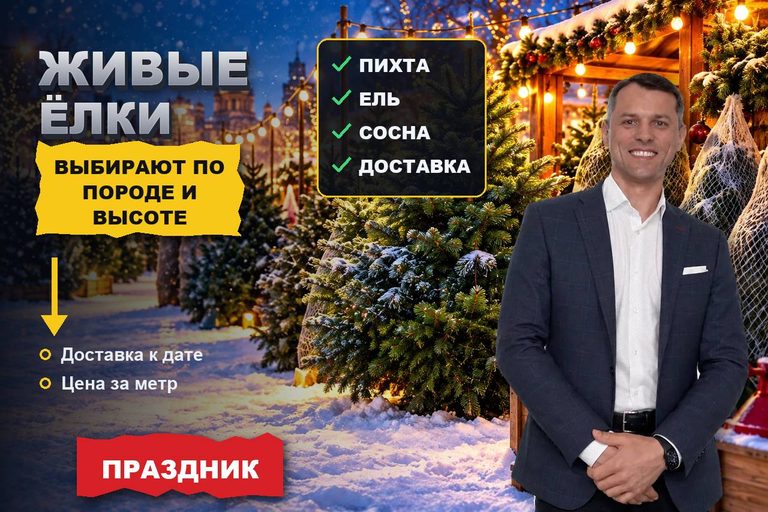 Продвижение сайта продажи ёлок: живую ель ищут по породе и высоте, а покупают с доставкой к нужной дате