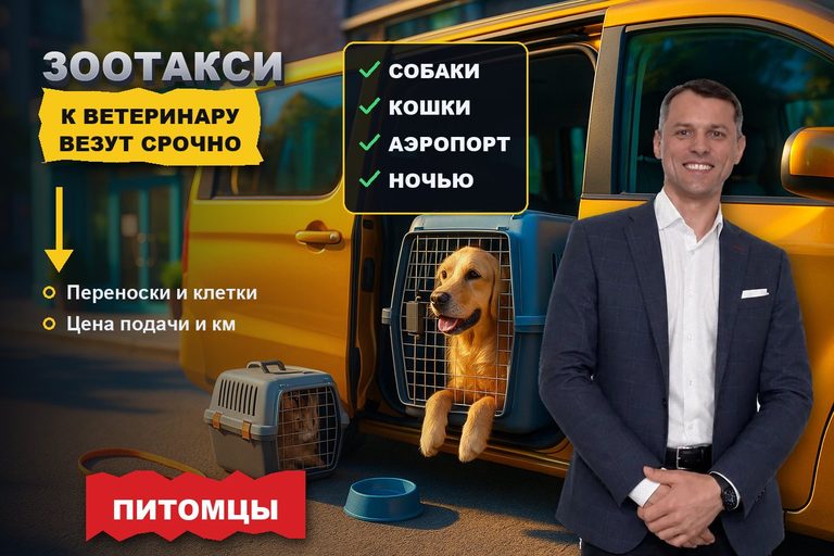 Продвижение сайта зоотакси: перевозку питомца к ветеринару ищут срочно и выбирают по отзывам