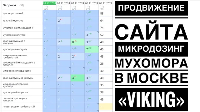 Продвижение сайта микродозинг мухомора в Москве — VIKING